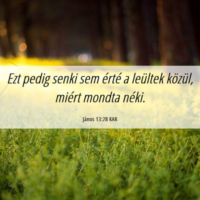Picture 06 - János 13:28 KAR - Ezt pedig senki sem érté a leültek közül, - Bible Verse Picture