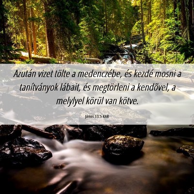 Picture 06 - János 13:5 KAR - Azután vizet tölte a medenczébe, és kezdé - Bible Verse Picture