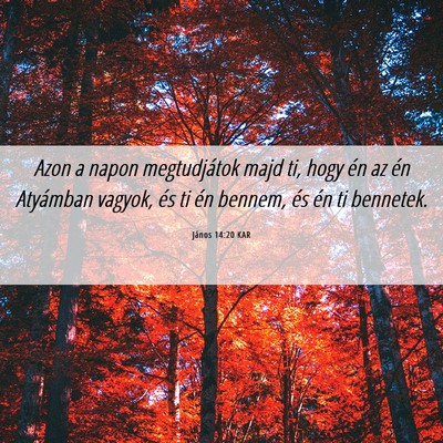 Picture 06 - János 14:20 KAR - Azon a napon megtudjátok majd ti, hogy én az - Bible Verse Picture
