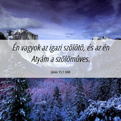 Picture 06 - János 15:1 KAR - Én vagyok az igazi szõlõtõ, és az én Atyám - Bible Verse Picture