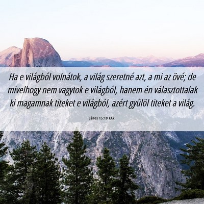 Picture 06 - János 15:19 KAR - Ha e világból volnátok, a világ szeretné - Bible Verse Picture