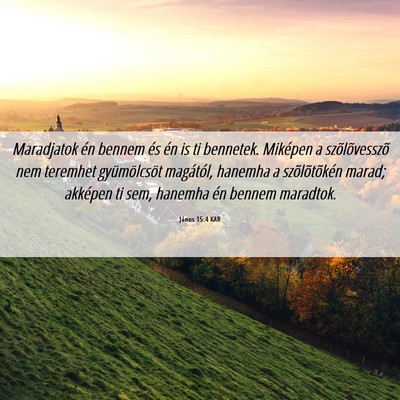 Picture 06 - János 15:4 KAR - Maradjatok én bennem és én is ti bennetek. - Bible Verse Picture