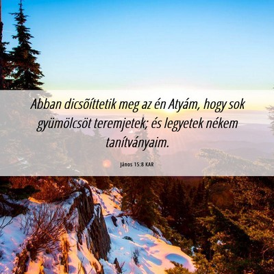 Picture 06 - János 15:8 KAR - Abban dicsõíttetik meg az én Atyám, hogy sok - Bible Verse Picture
