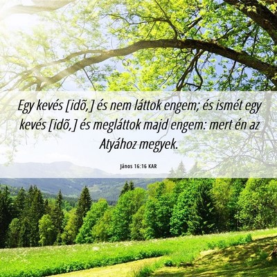 Picture 06 - János 16:16 KAR - Egy kevés [idõ,] és nem láttok engem; és - Bible Verse Picture