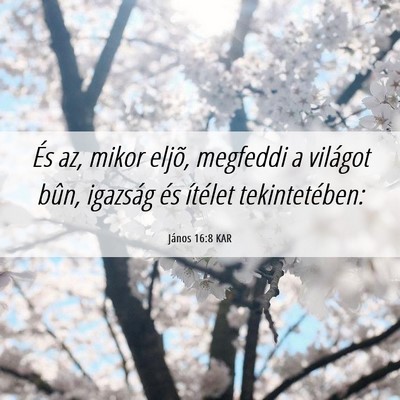 Picture 06 - János 16:8 KAR - És az, mikor eljõ, megfeddi a világot bûn, - Bible Verse Picture