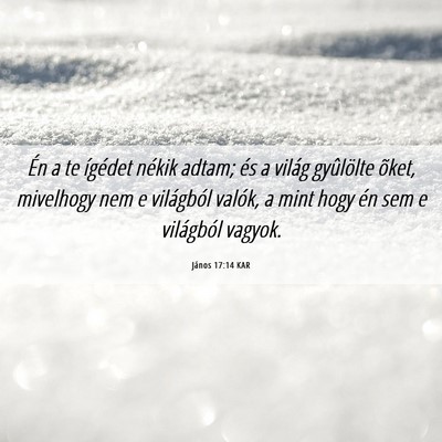 Picture 06 - János 17:14 KAR - Én a te ígédet nékik adtam; és a világ - Bible Verse Picture