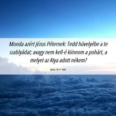 Picture 06 - János 18:11 KAR - Monda azért Jézus Péternek: Tedd hüvelyébe a - Bible Verse Picture