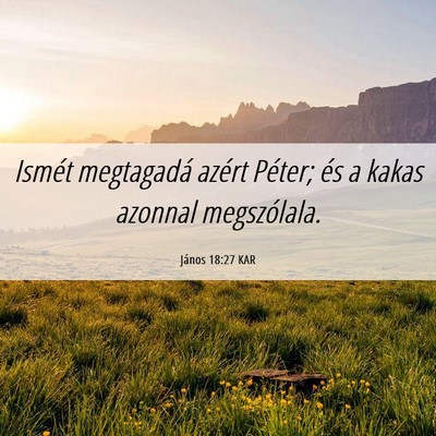 Picture 06 - János 18:27 KAR - Ismét megtagadá azért Péter; és a kakas - Bible Verse Picture