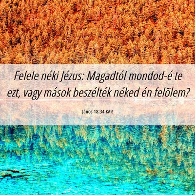 Picture 06 - János 18:34 KAR - Felele néki Jézus: Magadtól mondod-é te ezt, - Bible Verse Picture