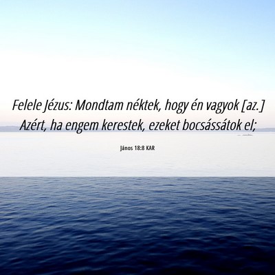 Picture 06 - János 18:8 KAR - Felele Jézus: Mondtam néktek, hogy én vagyok - Bible Verse Picture