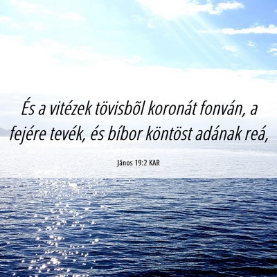 Picture 06 - János 19:2 KAR - És a vitézek tövisbõl koronát fonván, a - Bible Verse Picture