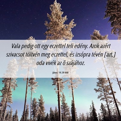 Picture 06 - János 19:29 KAR - Vala pedig ott egy eczettel teli edény. Azok - Bible Verse Picture