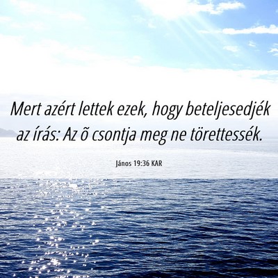Picture 06 - János 19:36 KAR - Mert azért lettek ezek, hogy beteljesedjék az - Bible Verse Picture