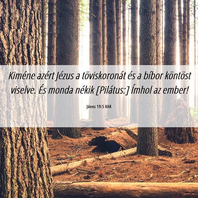 Picture 06 - János 19:5 KAR - Kiméne azért Jézus a töviskoronát és a - Bible Verse Picture