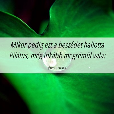 Picture 06 - János 19:8 KAR - Mikor pedig ezt a beszédet hallotta Pilátus, - Bible Verse Picture