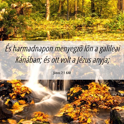 Picture 06 - János 2:1 KAR - És harmadnapon menyegzõ lõn a galileai - Bible Verse Picture