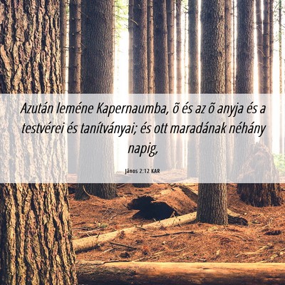 Picture 06 - János 2:12 KAR - Azután leméne Kapernaumba, õ és az õ anyja - Bible Verse Picture