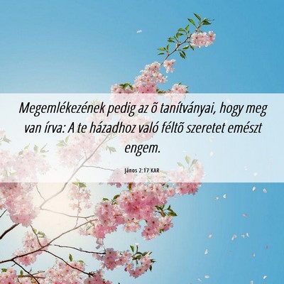 Picture 06 - János 2:17 KAR - Megemlékezének pedig az õ tanítványai, hogy - Bible Verse Picture