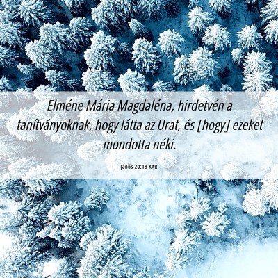 Picture 06 - János 20:18 KAR - Elméne Mária Magdaléna, hirdetvén a - Bible Verse Picture