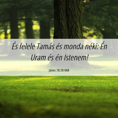 Picture 06 - János 20:28 KAR - És felele Tamás és monda néki: Én Uram és - Bible Verse Picture