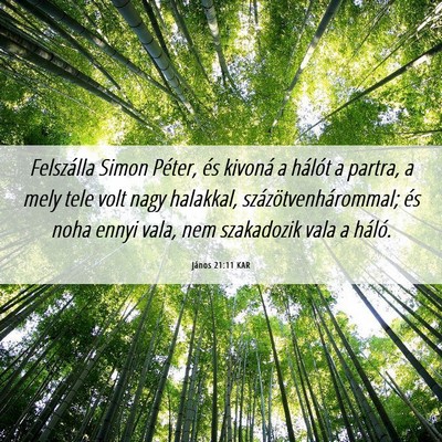 Picture 06 - János 21:11 KAR - Felszálla Simon Péter, és kivoná a hálót a - Bible Verse Picture