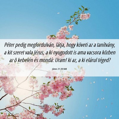 Picture 06 - János 21:20 KAR - Péter pedig megfordulván, látja, hogy követi - Bible Verse Picture
