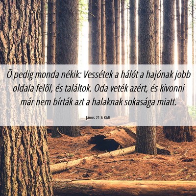 Picture 06 - János 21:6 KAR - Õ pedig monda nékik: Vessétek a hálót a - Bible Verse Picture