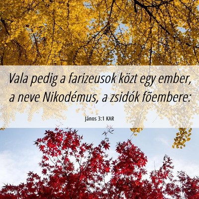 Picture 06 - János 3:1 KAR - Vala pedig a farizeusok közt egy ember, a neve - Bible Verse Picture