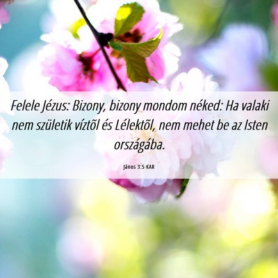 Picture 06 - János 3:5 KAR - Felele Jézus: Bizony, bizony mondom néked: Ha - Bible Verse Picture