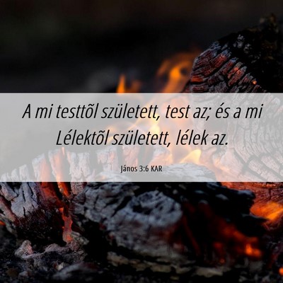 Picture 06 - János 3:6 KAR - A mi testtõl született, test az; és a mi - Bible Verse Picture