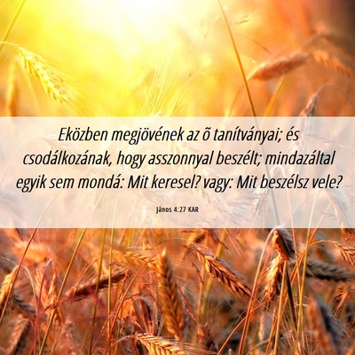 Picture 06 - János 4:27 KAR - Eközben megjövének az õ tanítványai; és - Bible Verse Picture