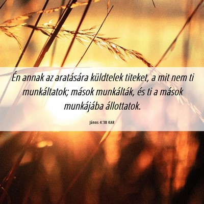 Picture 06 - János 4:38 KAR - Én annak az aratására küldtelek titeket, a - Bible Verse Picture
