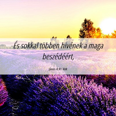 Picture 06 - János 4:41 KAR - És sokkal többen hivének a maga - Bible Verse Picture