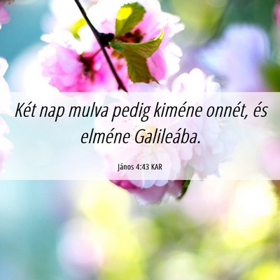 Picture 06 - János 4:43 KAR - Két nap mulva pedig kiméne onnét, és elméne - Bible Verse Picture