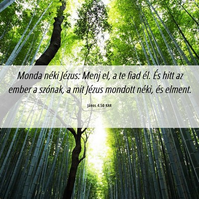 Picture 06 - János 4:50 KAR - Monda néki Jézus: Menj el, a te fiad él. És - Bible Verse Picture