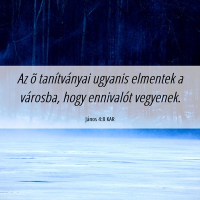 Picture 06 - János 4:8 KAR - Az õ tanítványai ugyanis elmentek a városba, - Bible Verse Picture