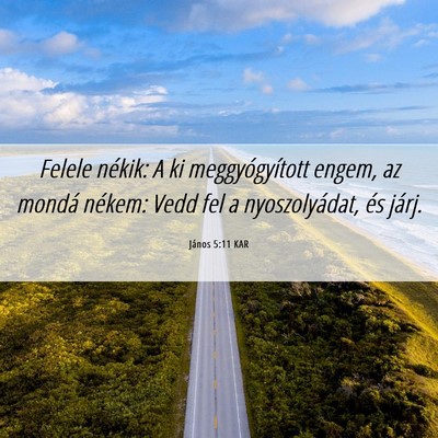 Picture 06 - János 5:11 KAR - Felele nékik: A ki meggyógyított engem, az - Bible Verse Picture