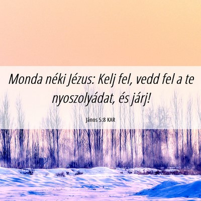 Picture 06 - János 5:8 KAR - Monda néki Jézus: Kelj fel, vedd fel a te - Bible Verse Picture