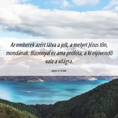 Picture 06 - János 6:14 KAR - Az emberek azért látva a jelt, a melyet Jézus - Bible Verse Picture