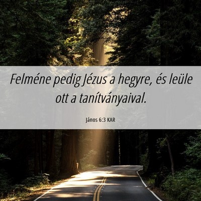 Picture 06 - János 6:3 KAR - Felméne pedig Jézus a hegyre, és leüle ott a - Bible Verse Picture