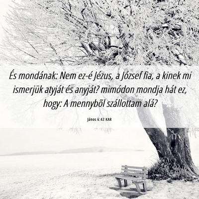 Picture 06 - János 6:42 KAR - És mondának: Nem ez-é Jézus, a József fia, a - Bible Verse Picture