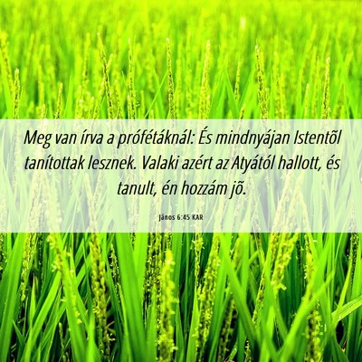 Picture 06 - János 6:45 KAR - Meg van írva a prófétáknál: És mindnyájan - Bible Verse Picture