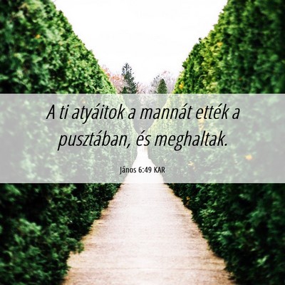 Picture 06 - János 6:49 KAR - A ti atyáitok a mannát ették a pusztában, és - Bible Verse Picture