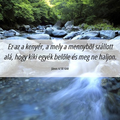 Picture 06 - János 6:50 KAR - Ez az a kenyér, a mely a mennybõl szállott - Bible Verse Picture