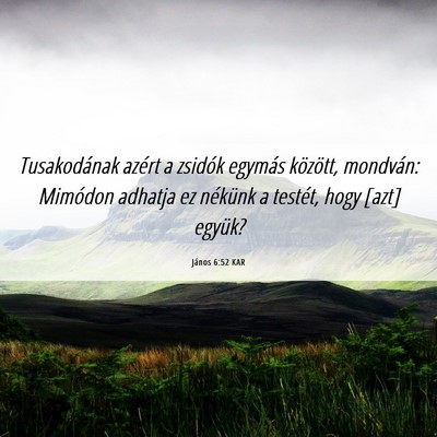 Picture 06 - János 6:52 KAR - Tusakodának azért a zsidók egymás között, - Bible Verse Picture