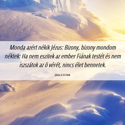 Picture 06 - János 6:53 KAR - Monda azért nékik Jézus: Bizony, bizony mondom - Bible Verse Picture