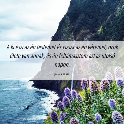 Picture 06 - János 6:54 KAR - A ki eszi az én testemet és iszsza az én - Bible Verse Picture