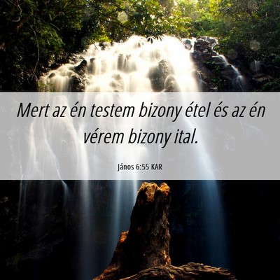 Picture 06 - János 6:55 KAR - Mert az én testem bizony étel és az én vérem - Bible Verse Picture