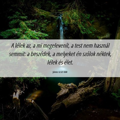 Picture 06 - János 6:63 KAR - A lélek az, a mi megelevenít, a test nem - Bible Verse Picture