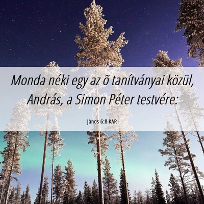 Picture 06 - János 6:8 KAR - Monda néki egy az õ tanítványai közül, - Bible Verse Picture